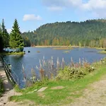 Nyaraló Spacieux A Rochesson, Pres De Gerardmer, Avec Garage, Cheminee, Wifi Et Equipements Complets - Fr-1-589-167 Rochesson