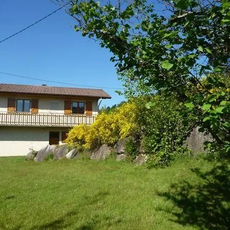 Spacieux A Rochesson, Pres De Gerardmer, Avec Garage, Cheminee, Wifi Et Equipements Complets - Fr-1-589-167 Tatil Evi *