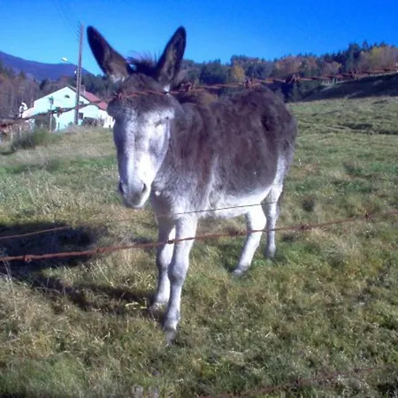 Spacieux A Rochesson, Pres De Gerardmer, Avec Garage, Cheminee, Wifi Et Equipements Complets - Fr-1-589-167 Vakantiehuis *