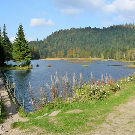 Дом отдыха Spacieux A Rochesson, Pres De Gerardmer, Avec Garage, Cheminee, Wifi Et Equipements Complets - Fr-1-589-167 Rochesson
