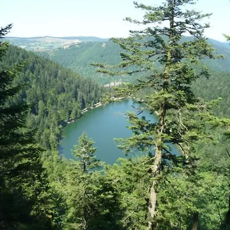 Дом отдыха Spacieux A Rochesson, Pres De Gerardmer, Avec Garage, Cheminee, Wifi Et Equipements Complets - Fr-1-589-167 *