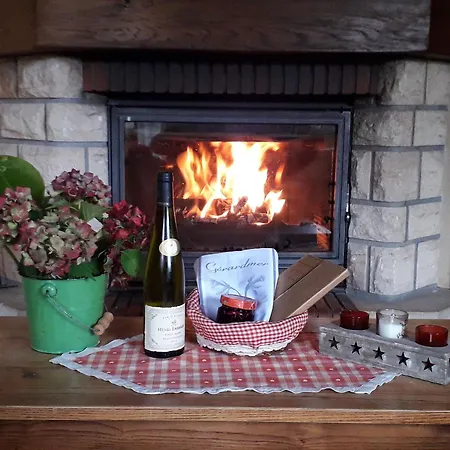 Tatil Evi Spacieux A Rochesson, Pres De Gerardmer, Avec Garage, Cheminee, Wifi Et Equipements Complets - Fr-1-589-167 Rochesson