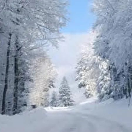 Spacieux A Rochesson, Pres De Gerardmer, Avec Garage, Cheminee, Wifi Et Equipements Complets - Fr-1-589-167 Vakantiehuis