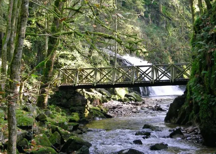 Spacieux A Rochesson, Pres De Gerardmer, Avec Garage, Cheminee, Wifi Et Equipements Complets - Fr-1-589-167 * Rochesson