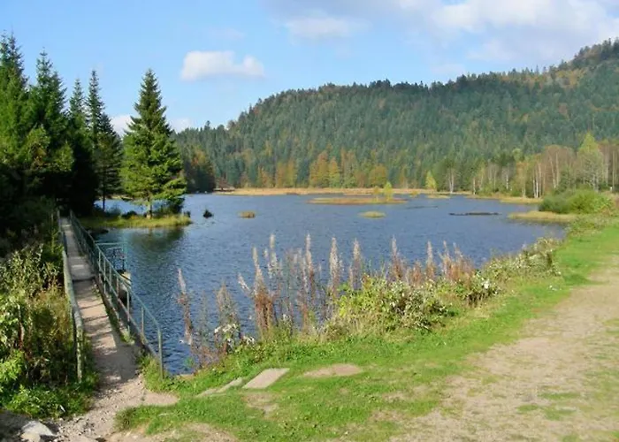 Prázdninový dům Spacieux A Rochesson, Pres De Gerardmer, Avec Garage, Cheminee, Wifi Et Equipements Complets - Fr-1-589-167 Rochesson
