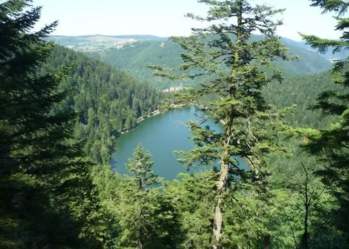 Prázdninový dům Spacieux A Rochesson, Pres De Gerardmer, Avec Garage, Cheminee, Wifi Et Equipements Complets - Fr-1-589-167 *